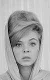 Jenny Maxwell