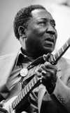 Muddy Waters