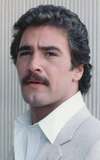 Lee Horsley