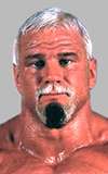 Scott Steiner
