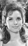 Dawn Wells