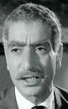 Ibrahim ElShamy
