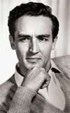 Vittorio Gassman