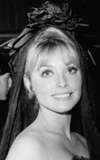 Sharon Tate