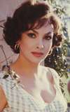 Gina Lollobrigida