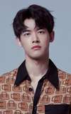 Liu Dongqin