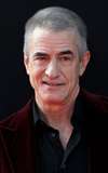 Dermot Mulroney