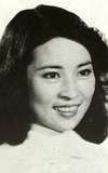 Lin Feng-jiao