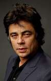 Benicio del Toro