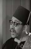 Lotfy ElHakim