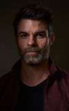 Daniel Gillies