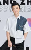 Zhang Zhen