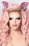 Willam Belli