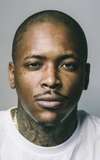  YG